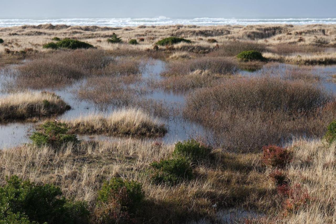 Tidal House #10 - Ocean Shores Chalet Zewnętrze zdjęcie